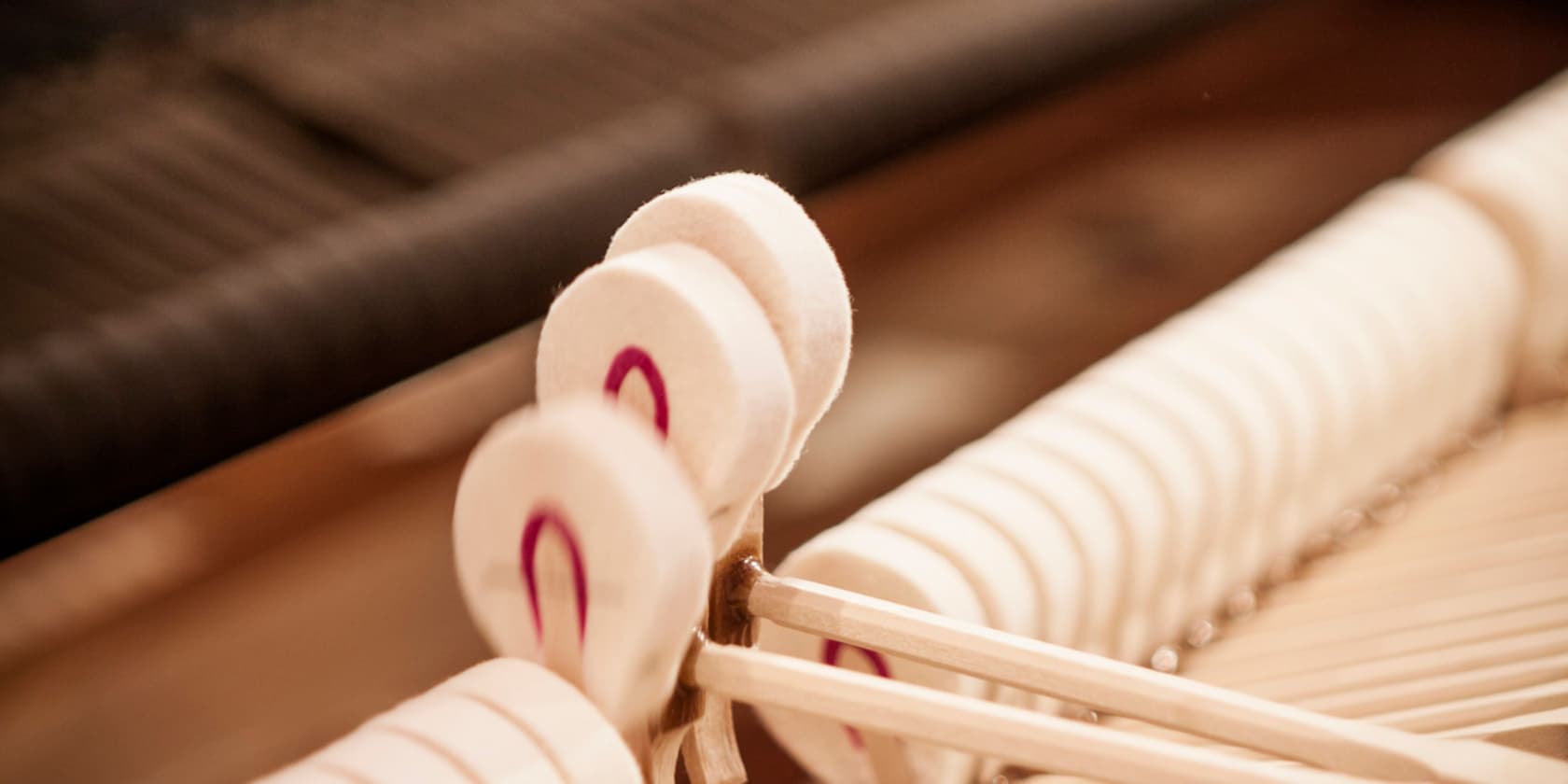 Close-up of the hammers inside a piano