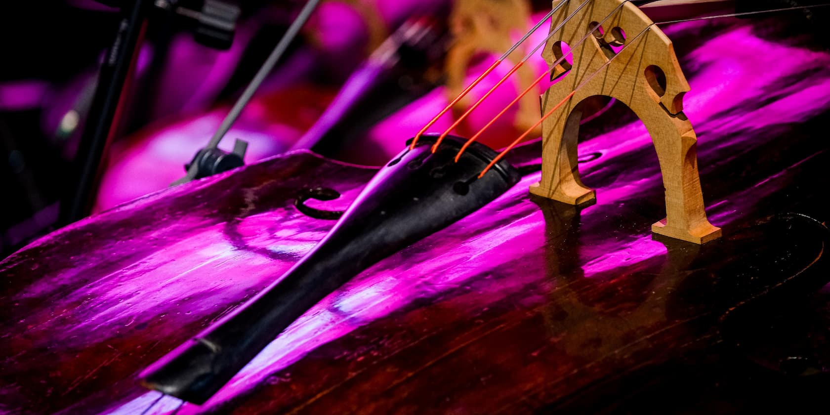 Close-up of a string instrument with purple light reflecting on the strings.