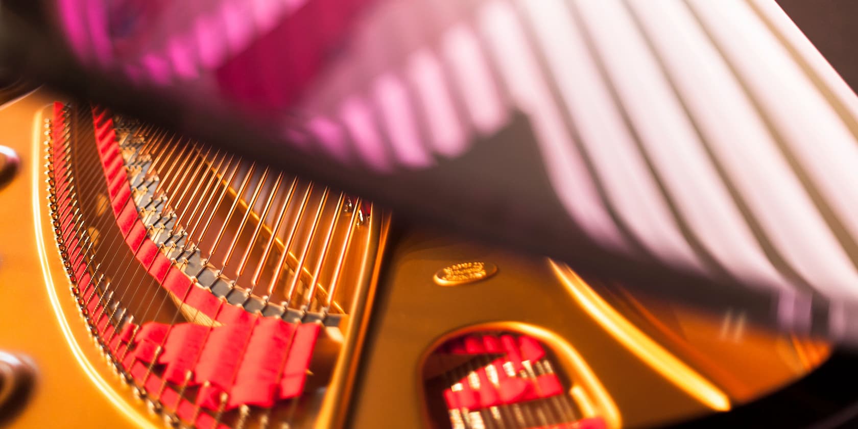 Close-up of the strings and mechanics of a grand piano, partially obscured by a blurred purple object