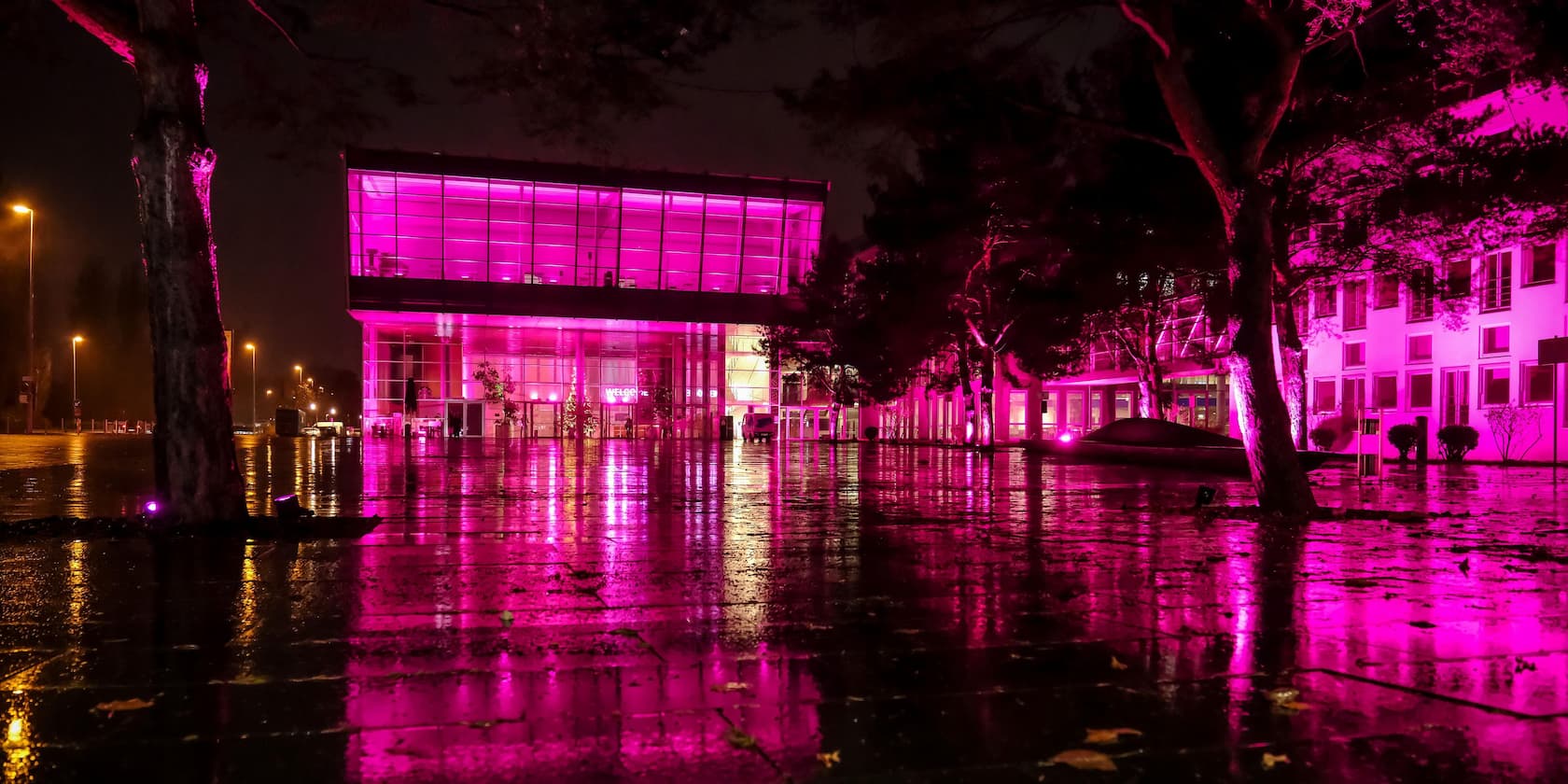 Building at night illuminated by violet light with wet reflective ground.